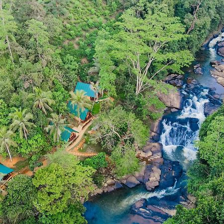 The Rainforest Hideaway دينيايا المظهر الخارجي الصورة