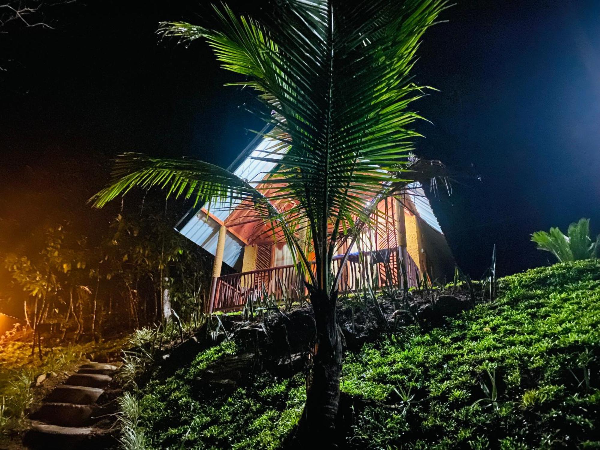 The Rainforest Hideaway دينيايا المظهر الخارجي الصورة