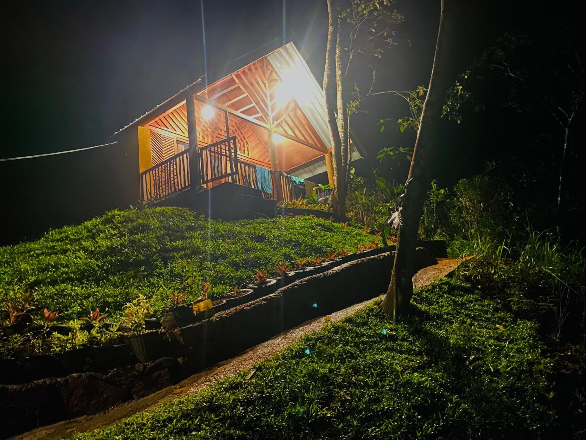 The Rainforest Hideaway دينيايا المظهر الخارجي الصورة