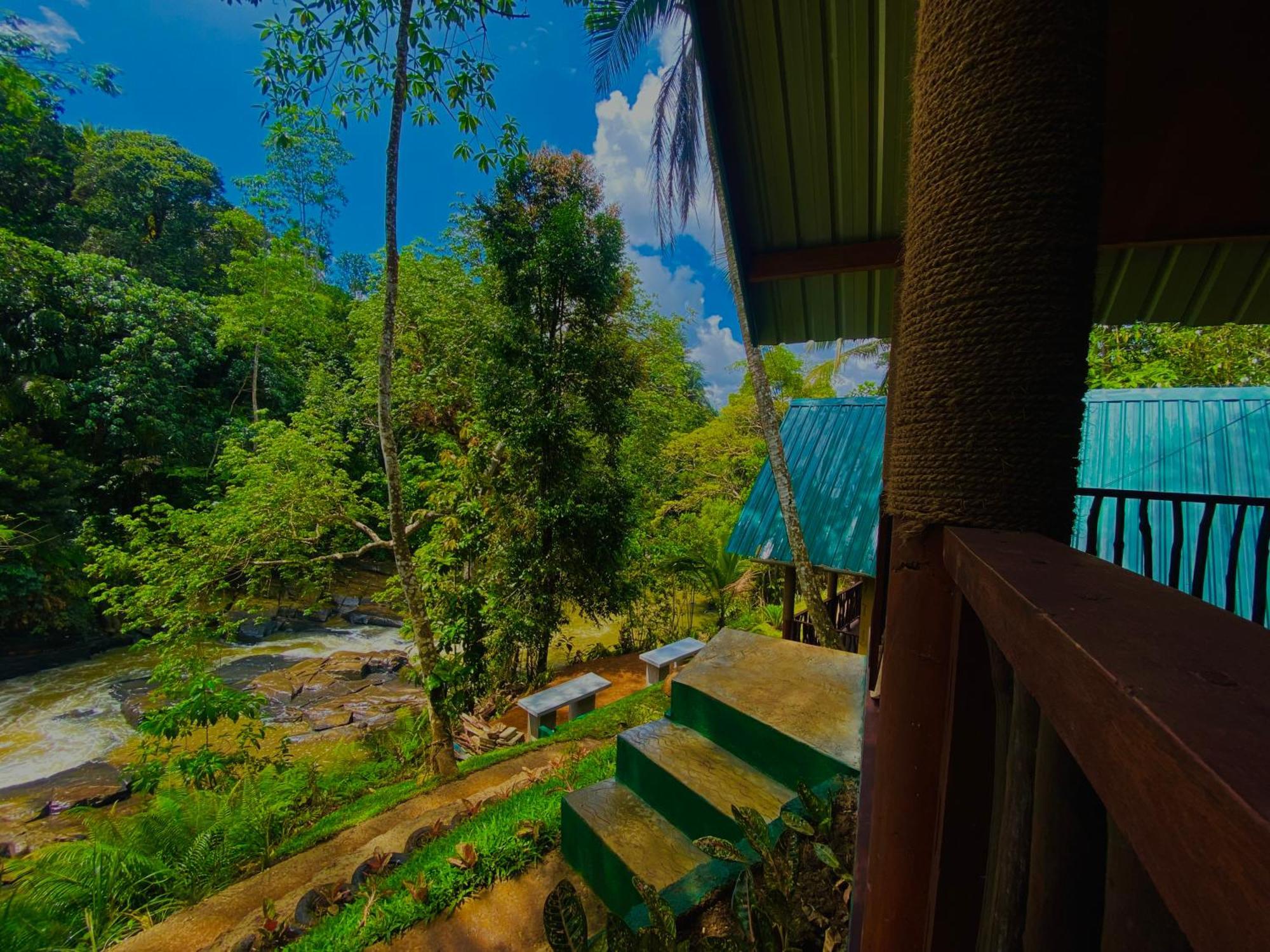 The Rainforest Hideaway دينيايا المظهر الخارجي الصورة