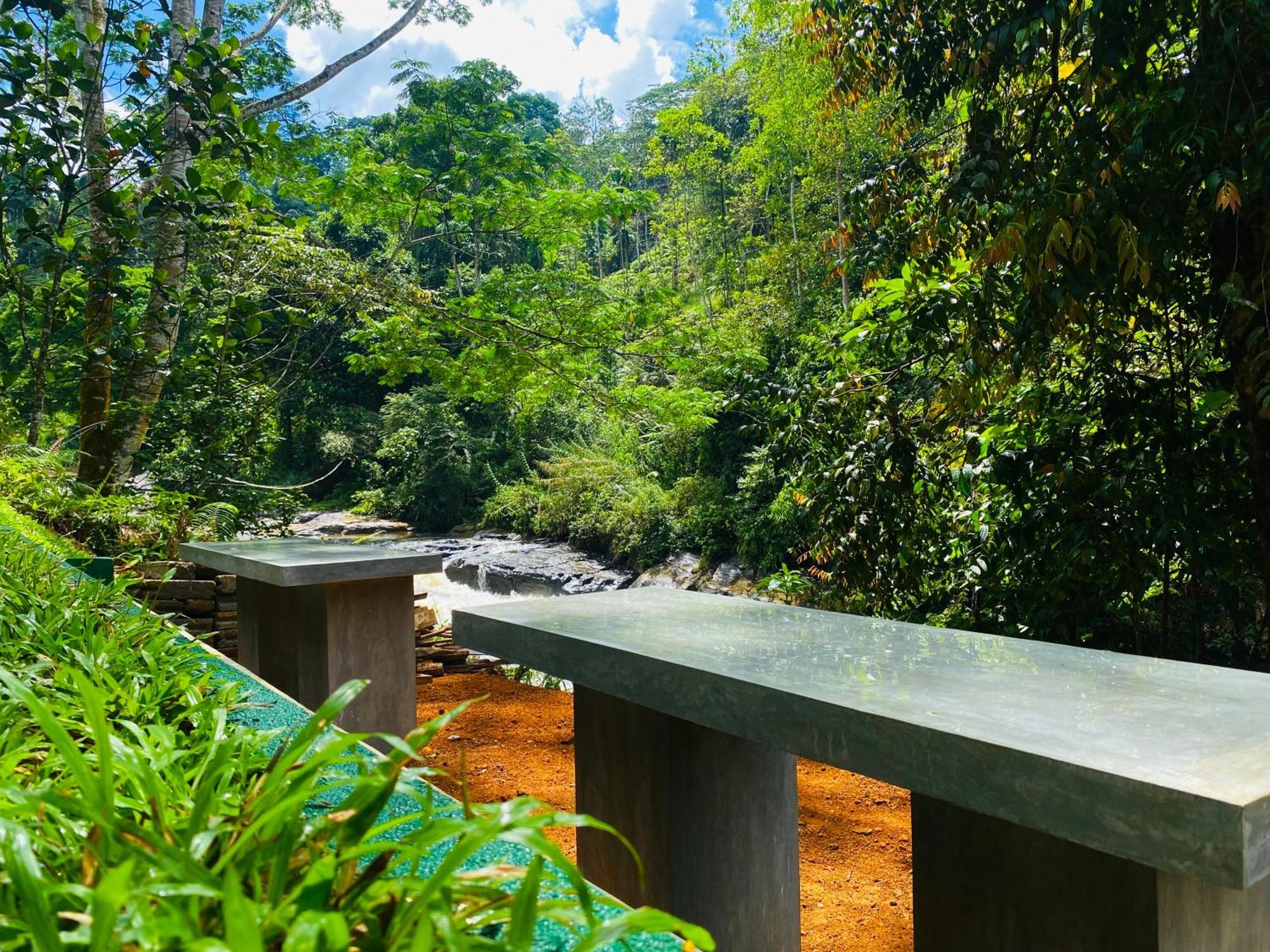 The Rainforest Hideaway دينيايا المظهر الخارجي الصورة