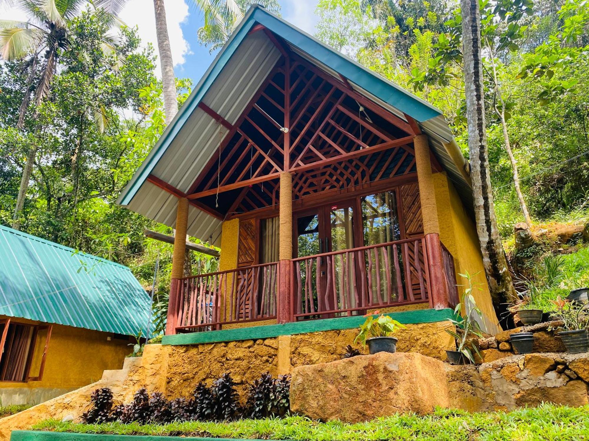 The Rainforest Hideaway دينيايا المظهر الخارجي الصورة